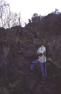 Mark am Weg zur Shira Hut