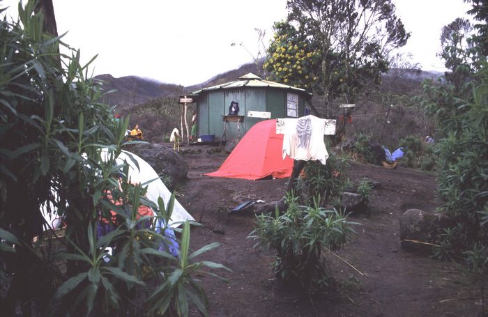 Machame Camp 2990m