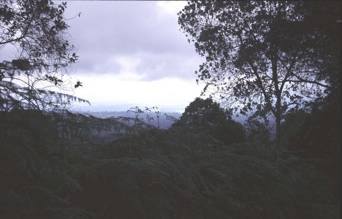 Blick nach Moschi