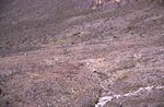Camp Barranco (Umbwe) Hut 3965m