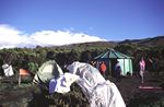 Mweka Hut 2835m