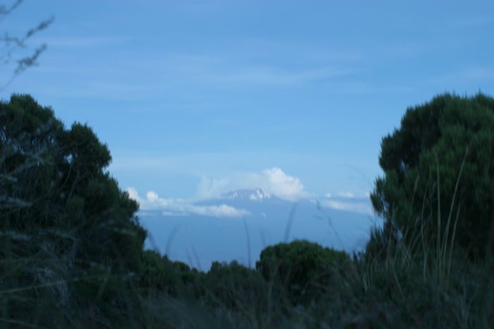 Kilimanjaro von der Sattelh&uuml;tte
