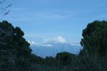 Kilimanjaro von der Sattelh&uuml;tte
