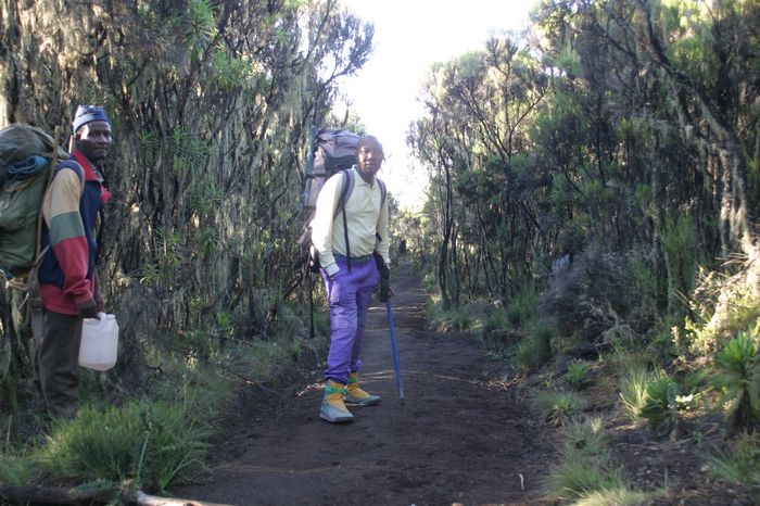 Abstieg vom Mweka Camp 2835m