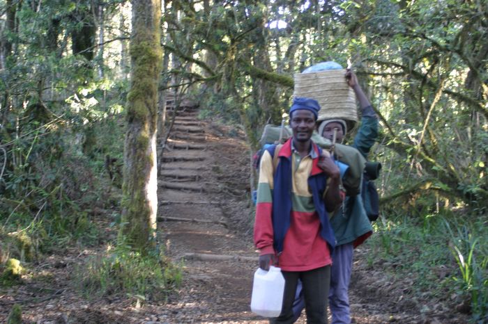 Abstieg vom Mweka Camp 2835m