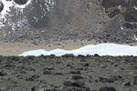 Aufstiegsspur zum Gipfel, Lagerplatz im Krater, Furtwanglergletscher