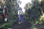 Abstieg vom Mweka Camp 2835m