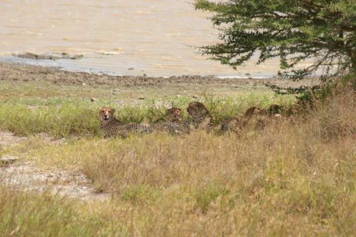 Nairobi NP