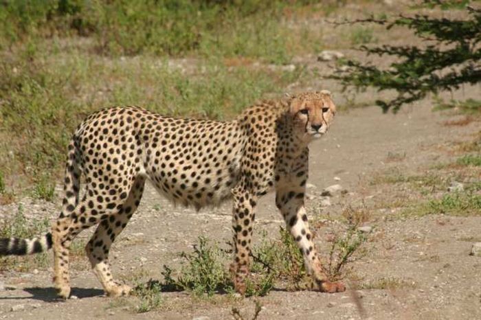 Nairobi NP