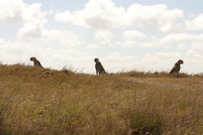 Nairobi NP