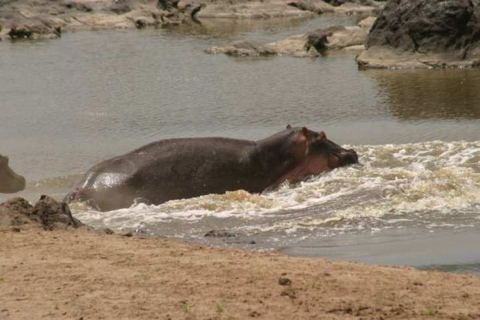 Masai Mara Game Reserve