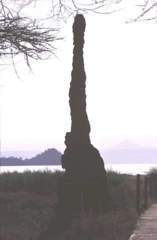 Lake Baringo