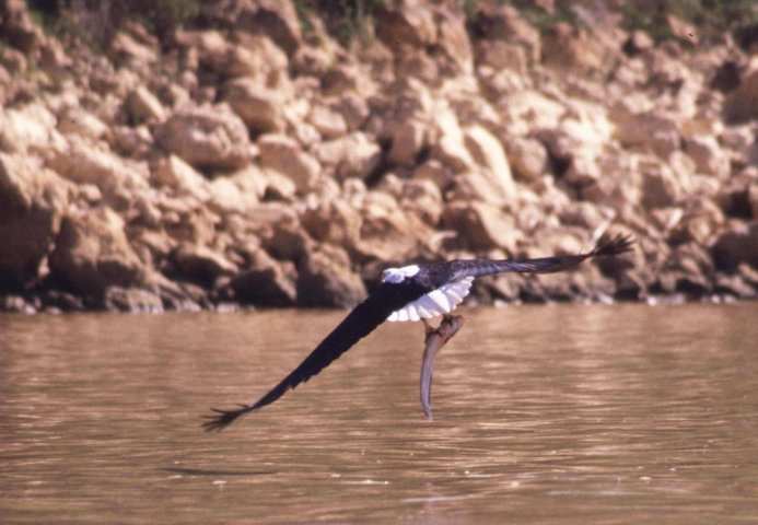 Lake Baringo