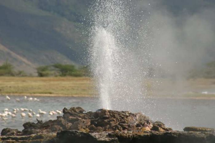 Lake Bogoria NP