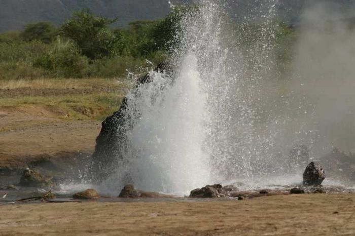 Lake Bogoria NP
