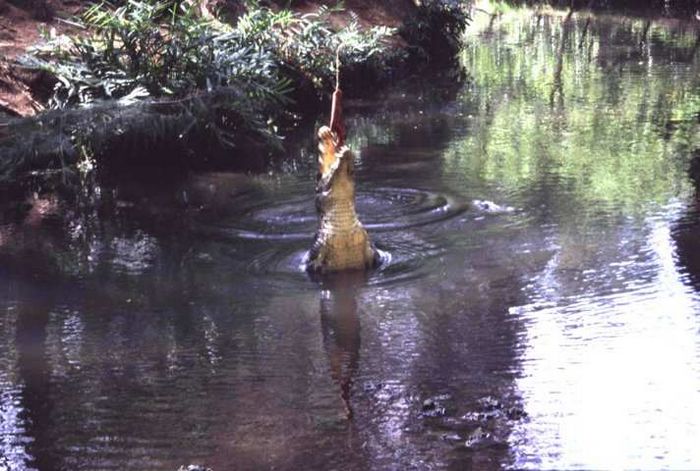 Bamburi Nature Trail