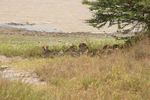 Nairobi NP