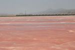 Lake Magadi