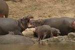 Masai Mara Game Reserve