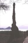 Lake Baringo