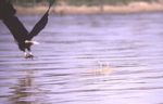 Lake Baringo