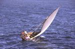 Lamu