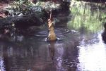 Bamburi Nature Trail