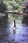 Bamburi Nature Trail