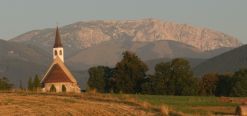 Daheim